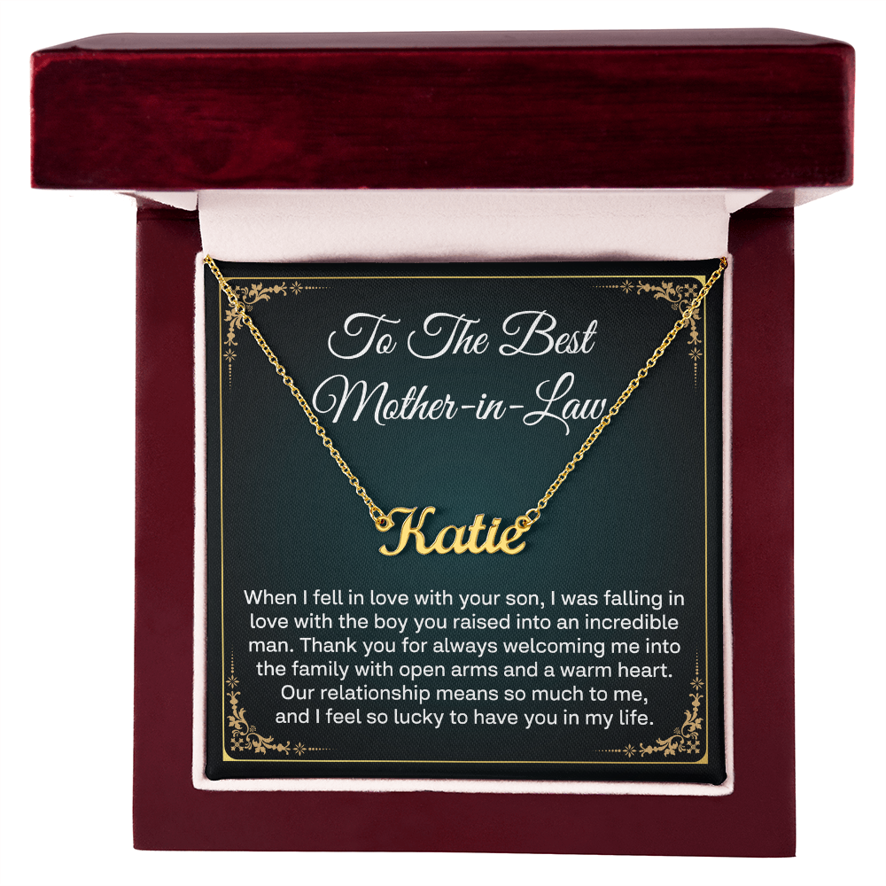 Mother in law 00000006