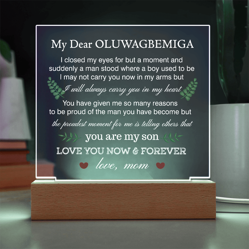 OLUWAGBEMIGA_197