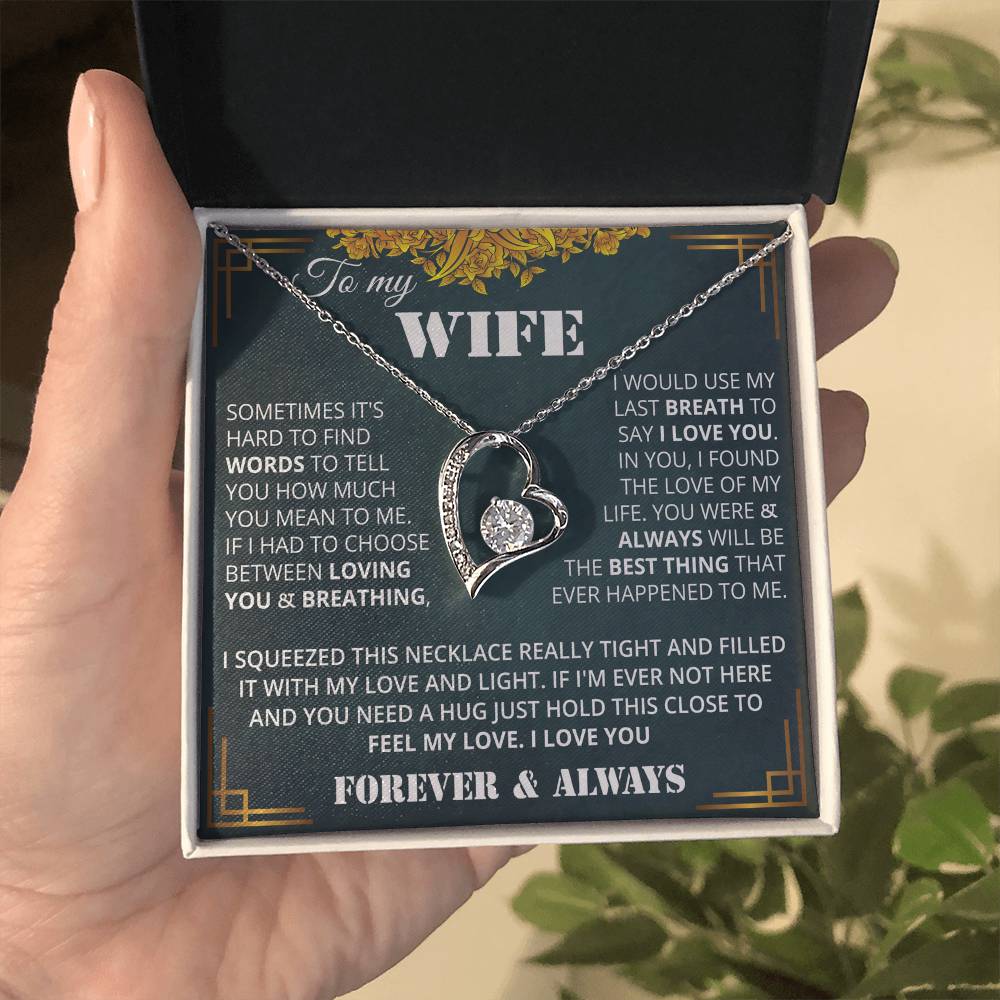wifevDFGd
