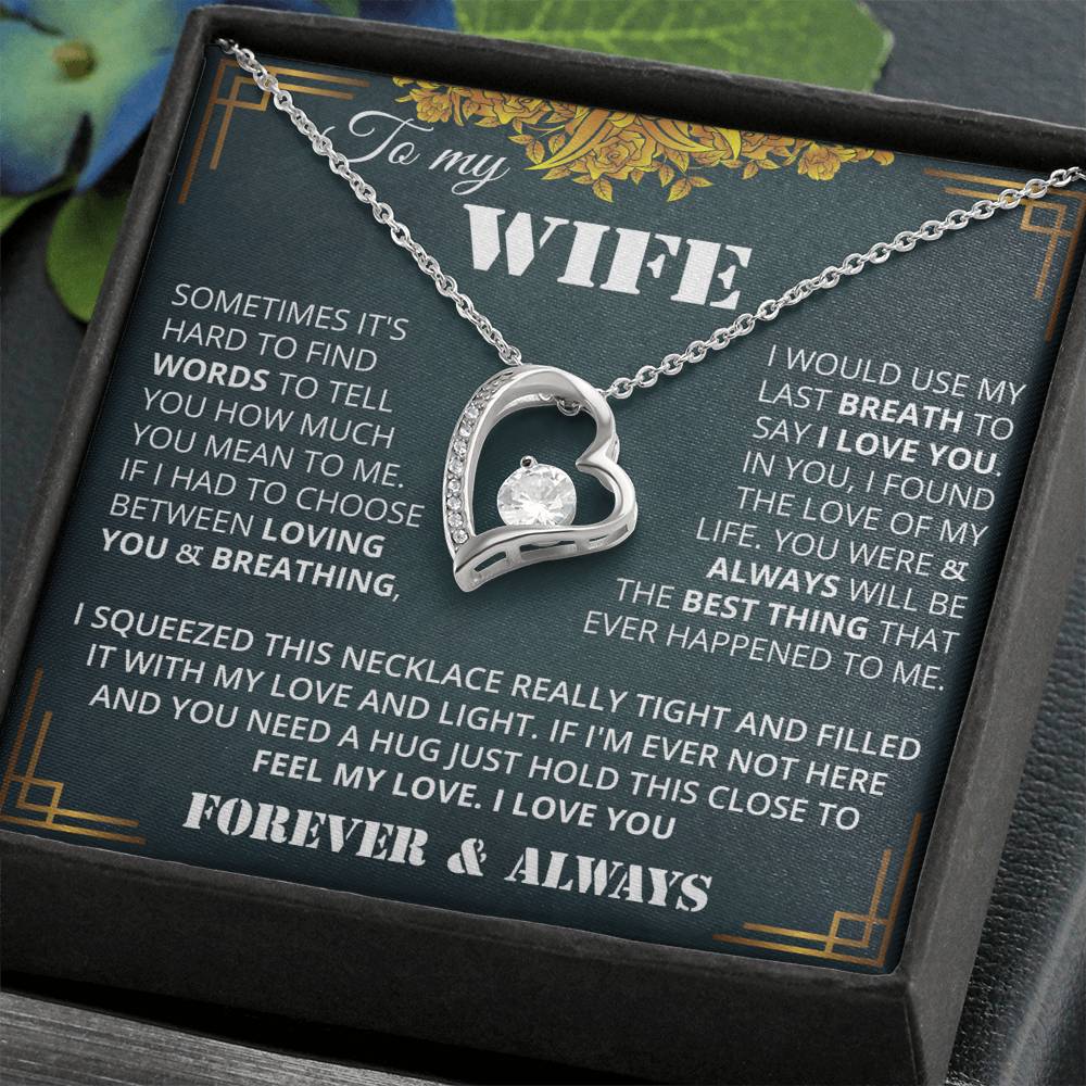 wifevDFGd