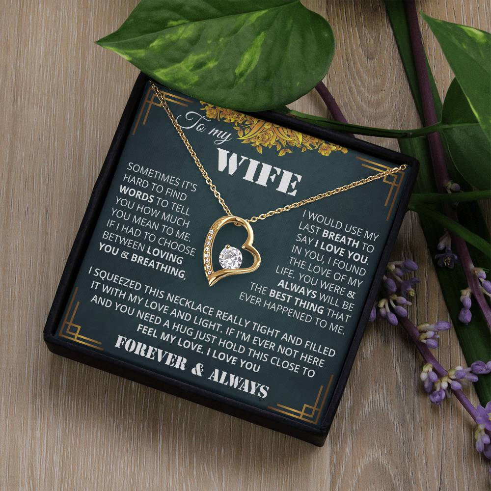 wifevDFGd