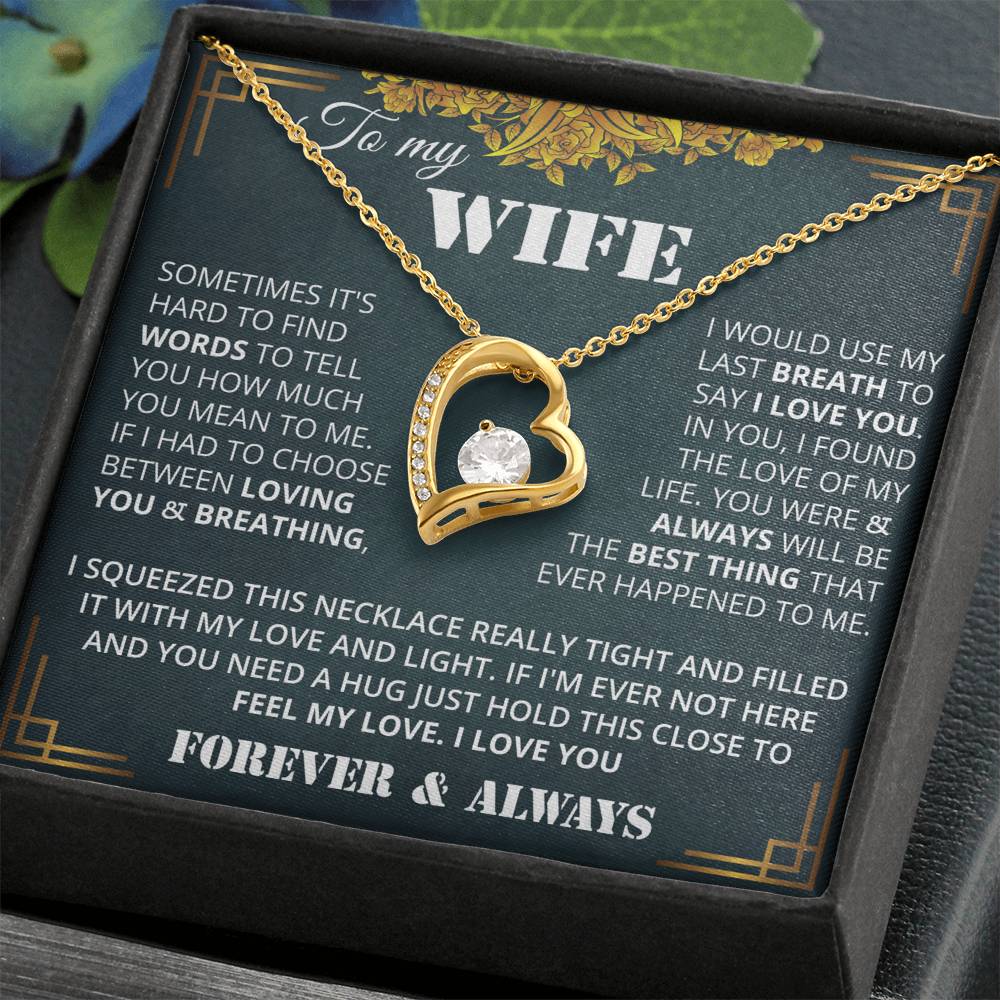 wifevDFGd