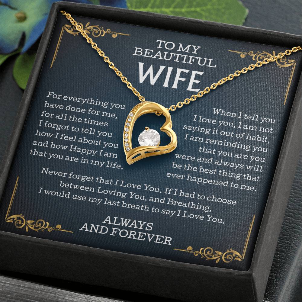 wifeeee