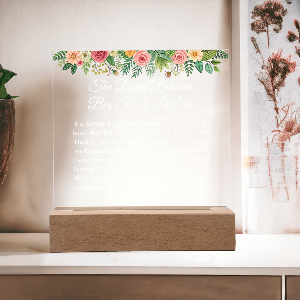 big sisste littler sisster