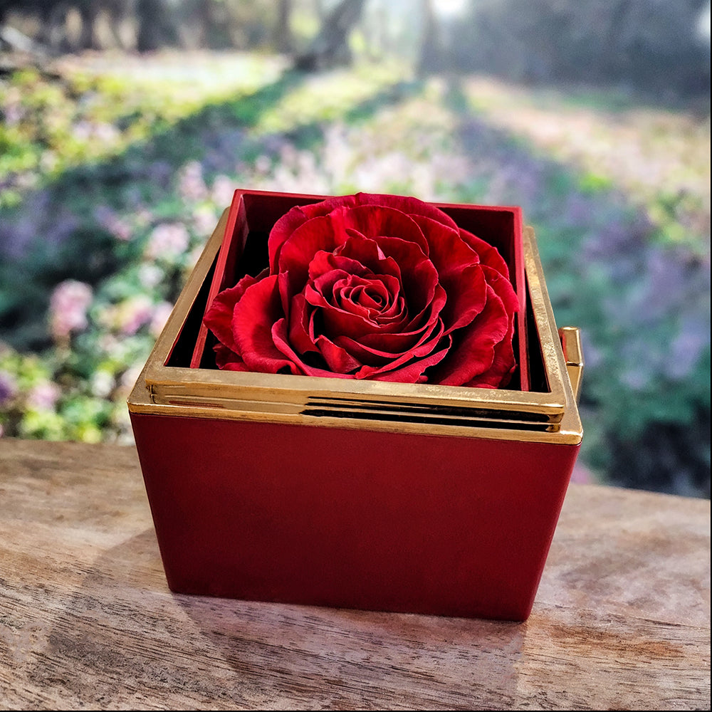 to my wwife