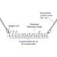 217 niece name necklace