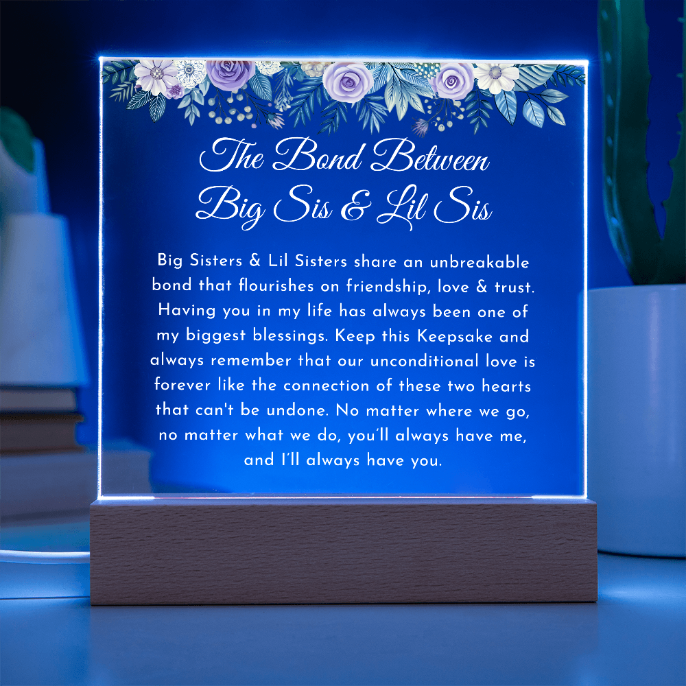 big sisste littler sisster