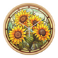 sunflower C1
