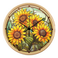 sunflower C1