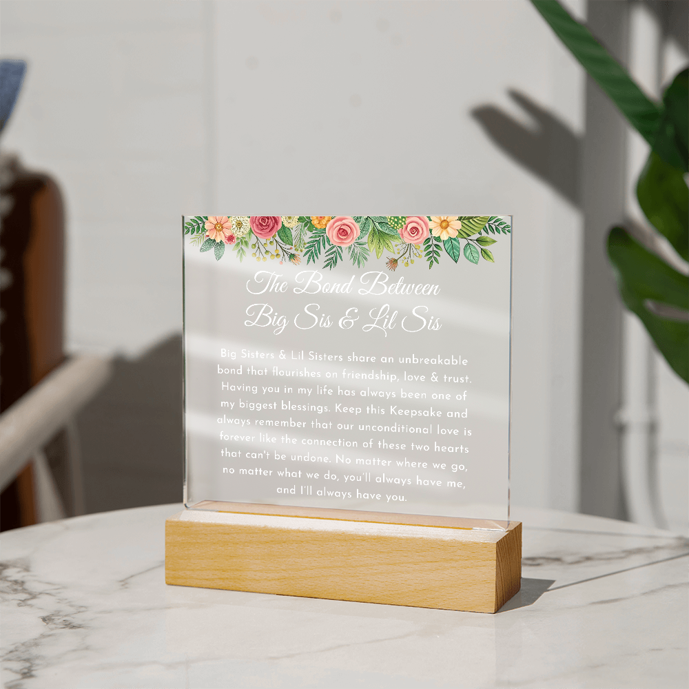 big sisste littler sisster