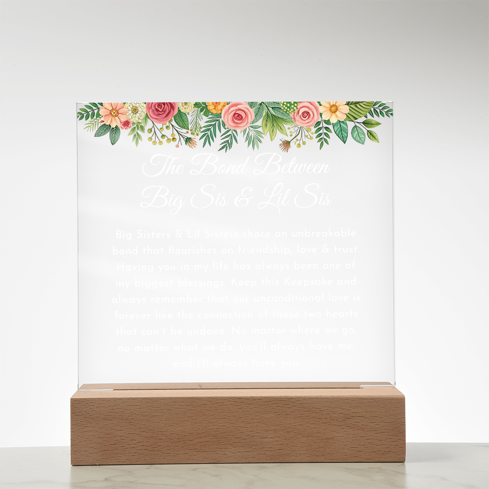 big sisste littler sisster