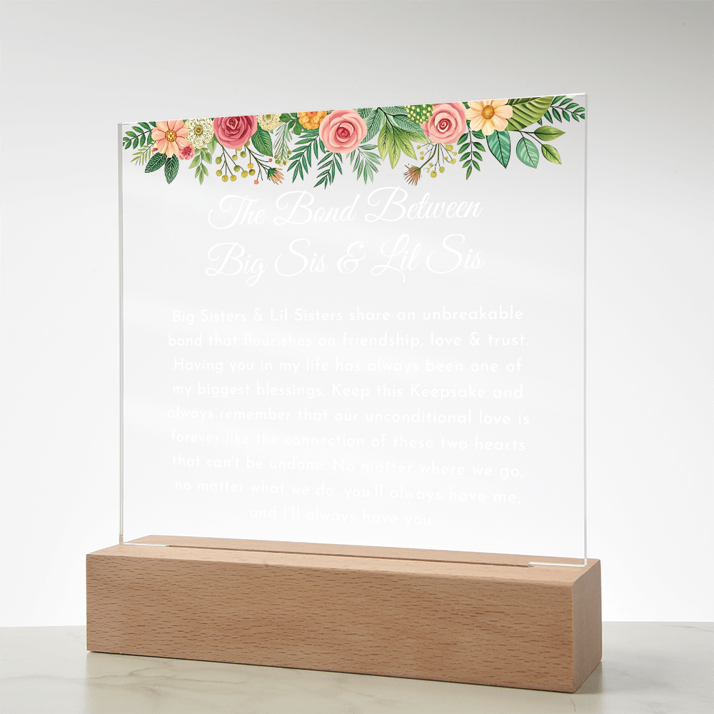 big sisste littler sisster