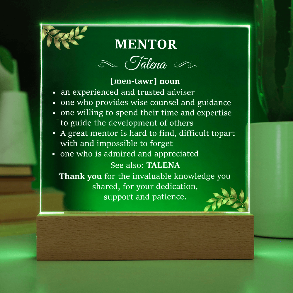 04.06.mentor