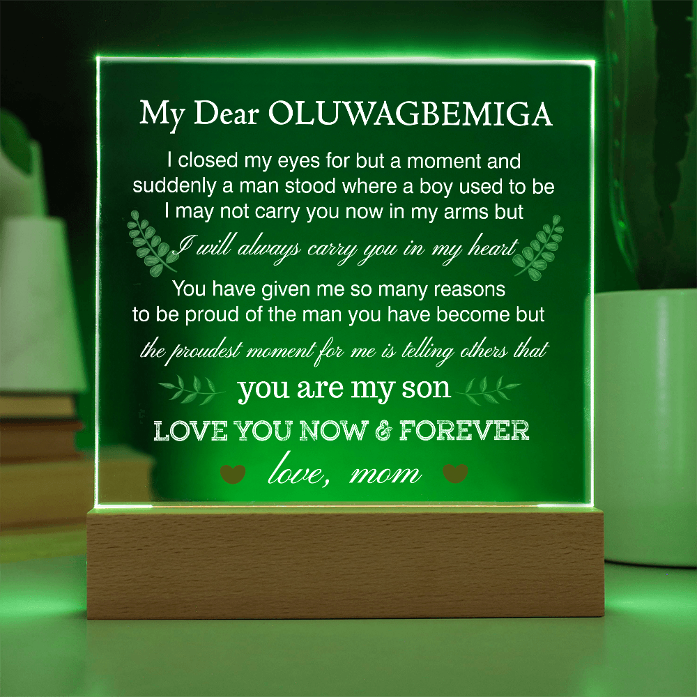 OLUWAGBEMIGA_197