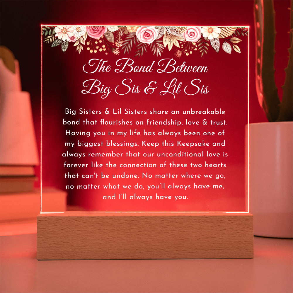 big sisste littler sisster